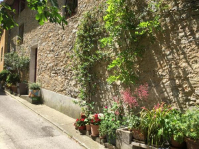 Le gite de l'impassiflore